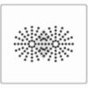 Cosmetic Focus-CIT® - Image 2